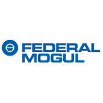FEDERAL MOGUL