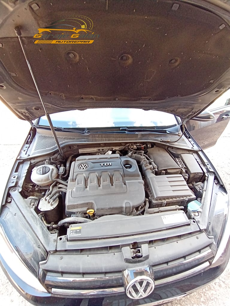 Limpieza de vano motor ww sucio