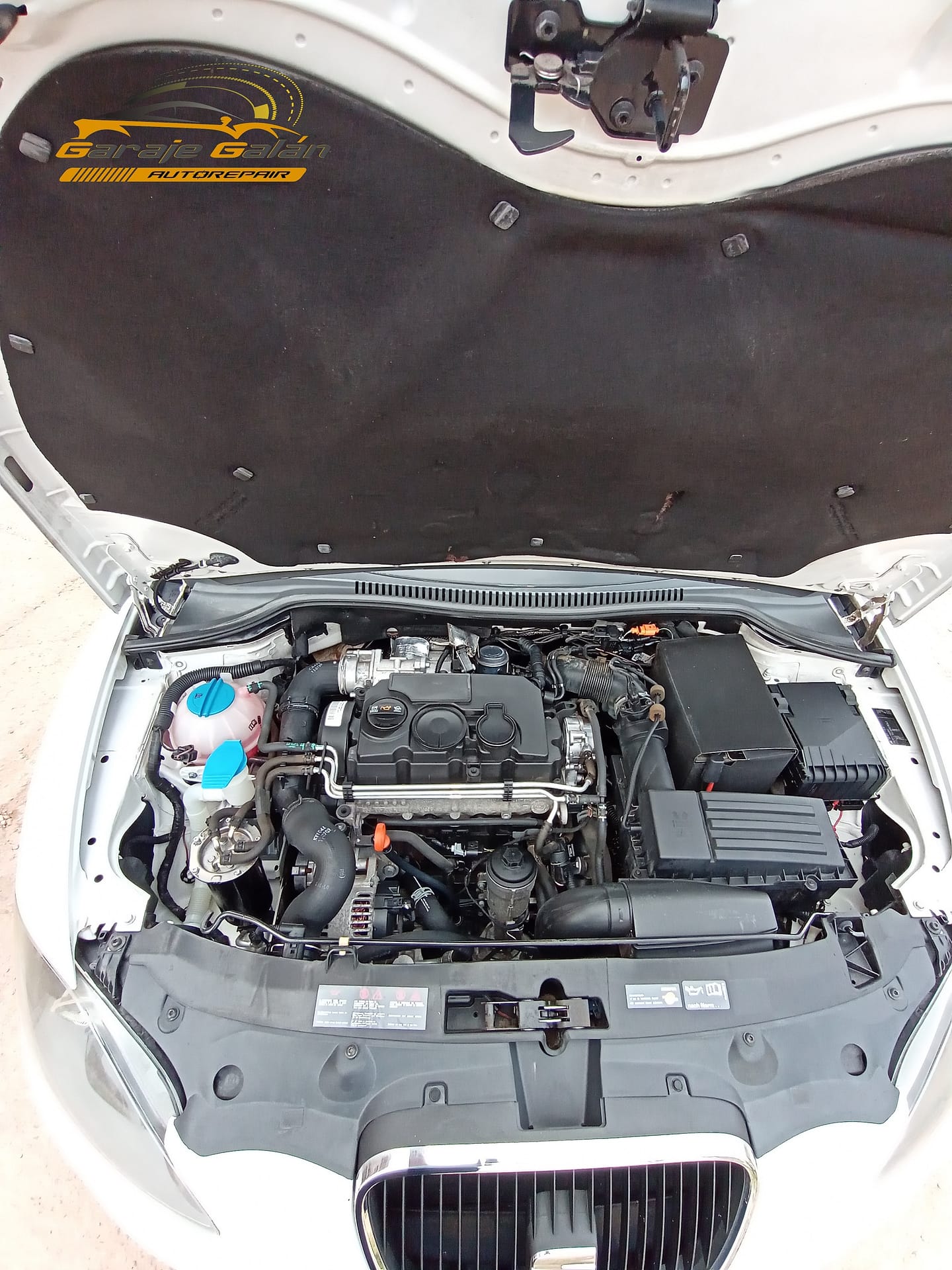 Limpieza de vano motor seat limpio