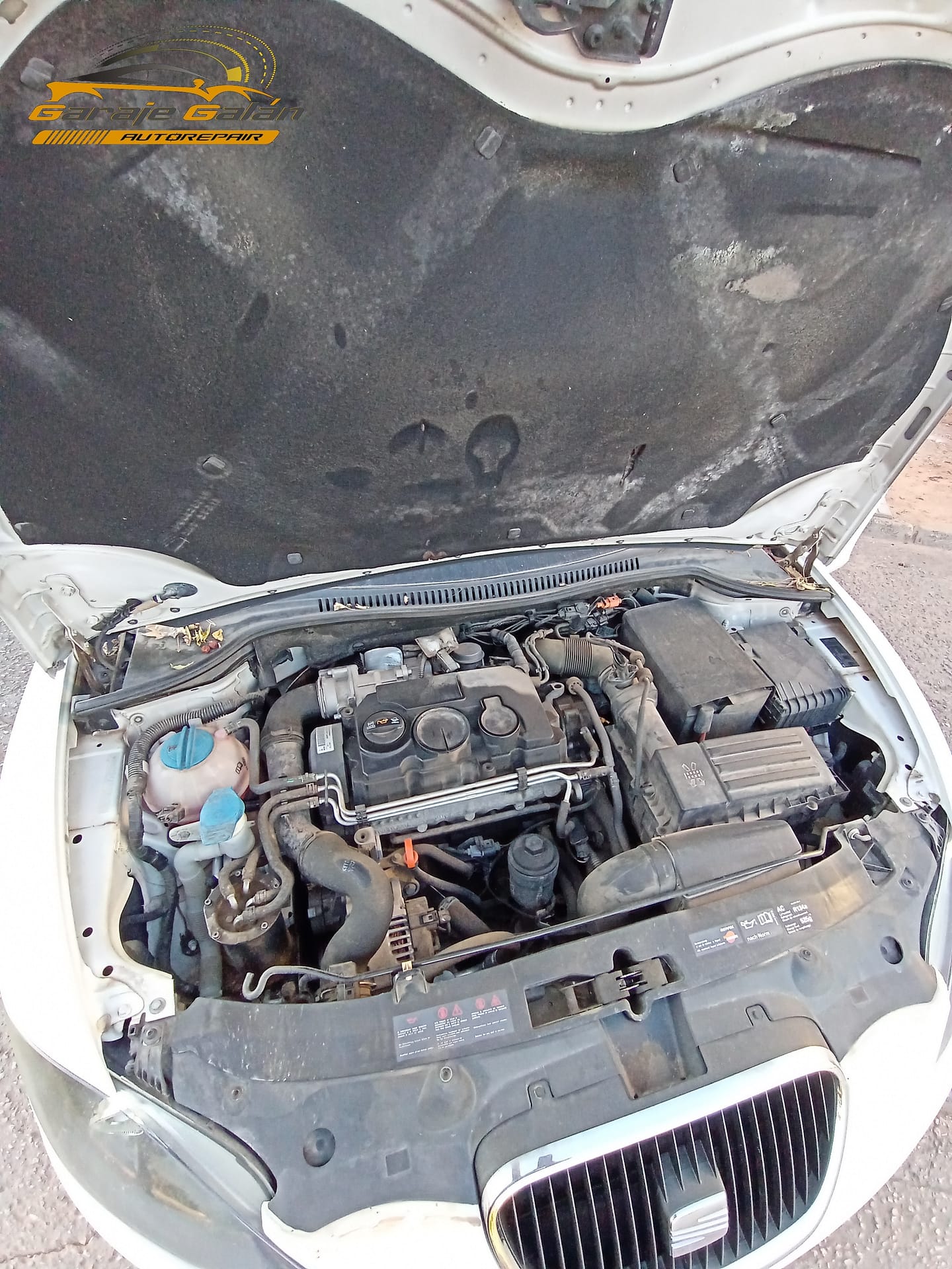 Limpieza de vano motor seat sucio